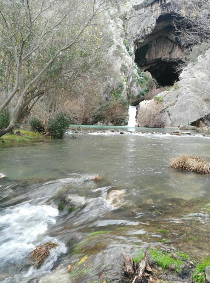 Casa Rural Las Rosas De Benaoján Exteriör bild