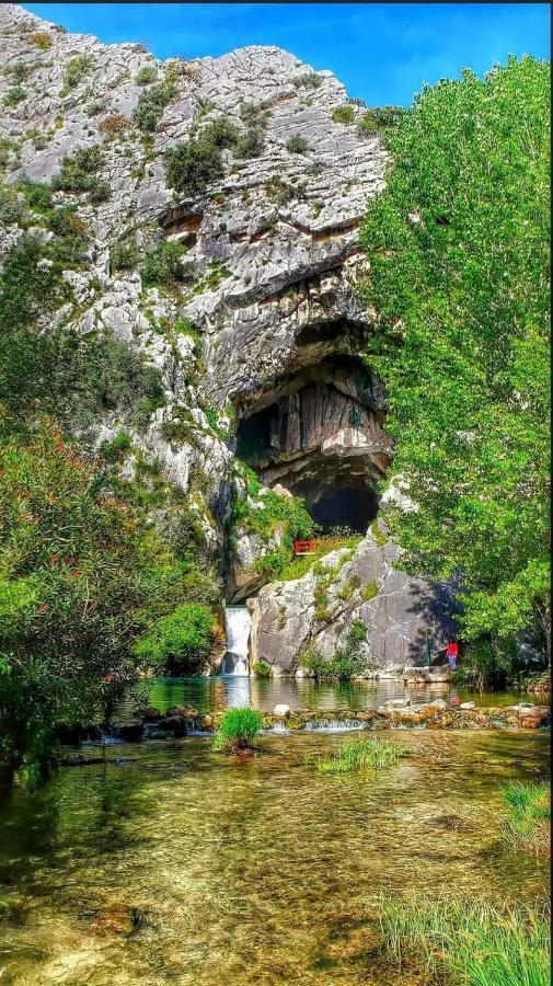 Casa Rural Las Rosas De Benaoján Exteriör bild